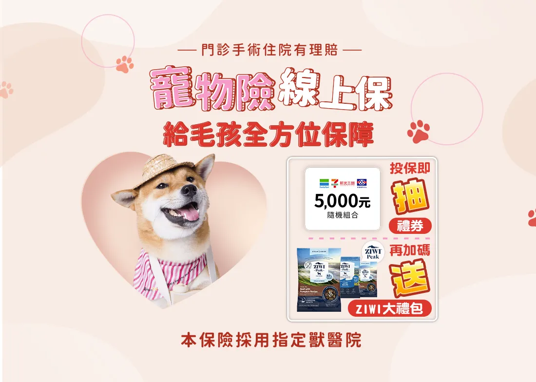 pets_1100x784